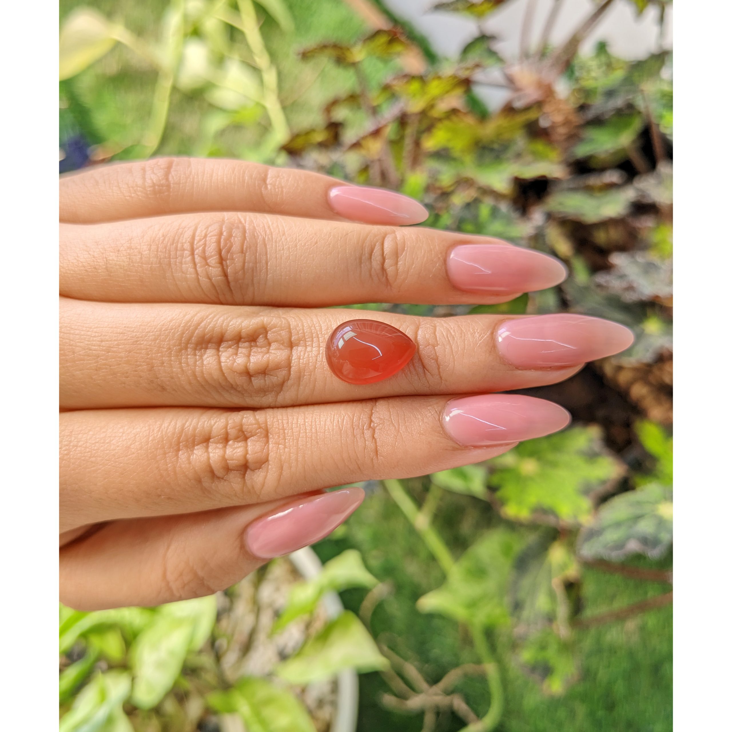 6.23 Ct. Orangey Red Cabochon Carnelian - Image 3