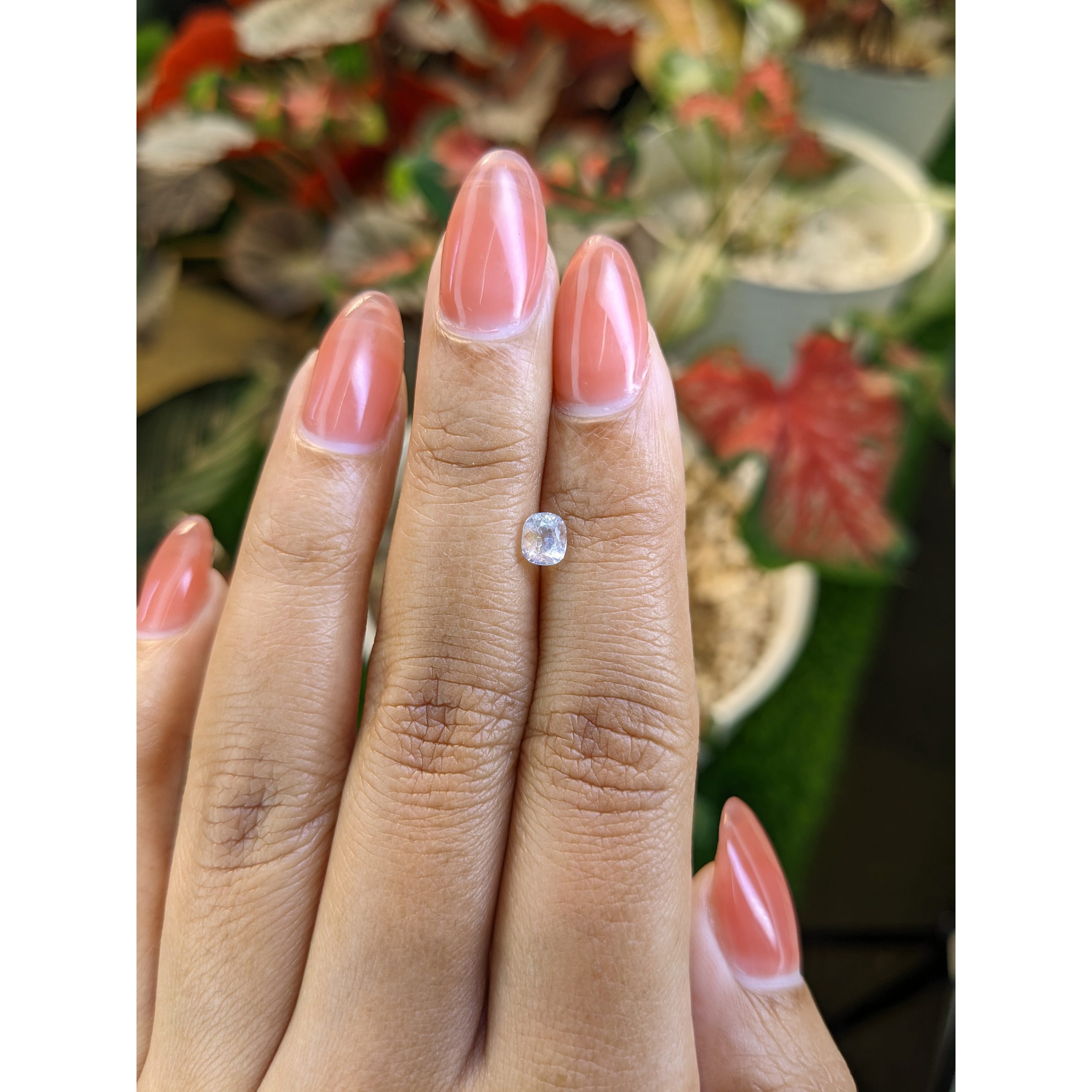 0.50 Ct. Rainbow Moonstone - Image 2