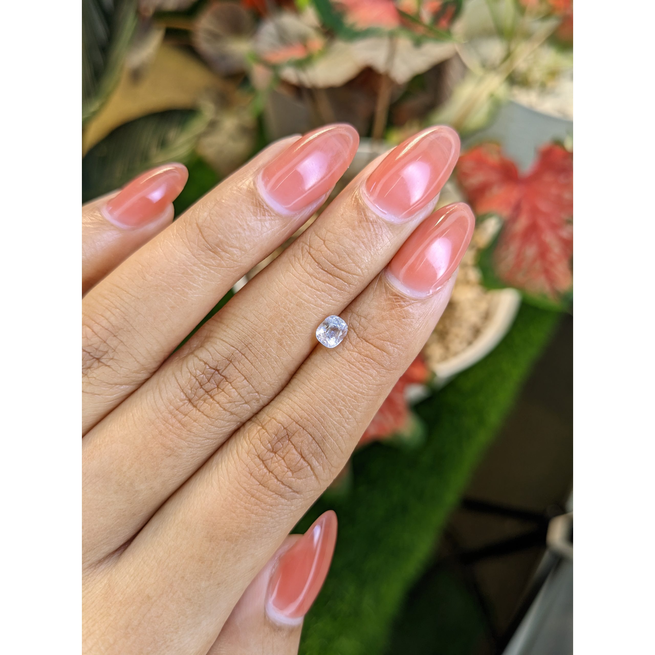 0.50 Ct. Rainbow Moonstone - Image 3