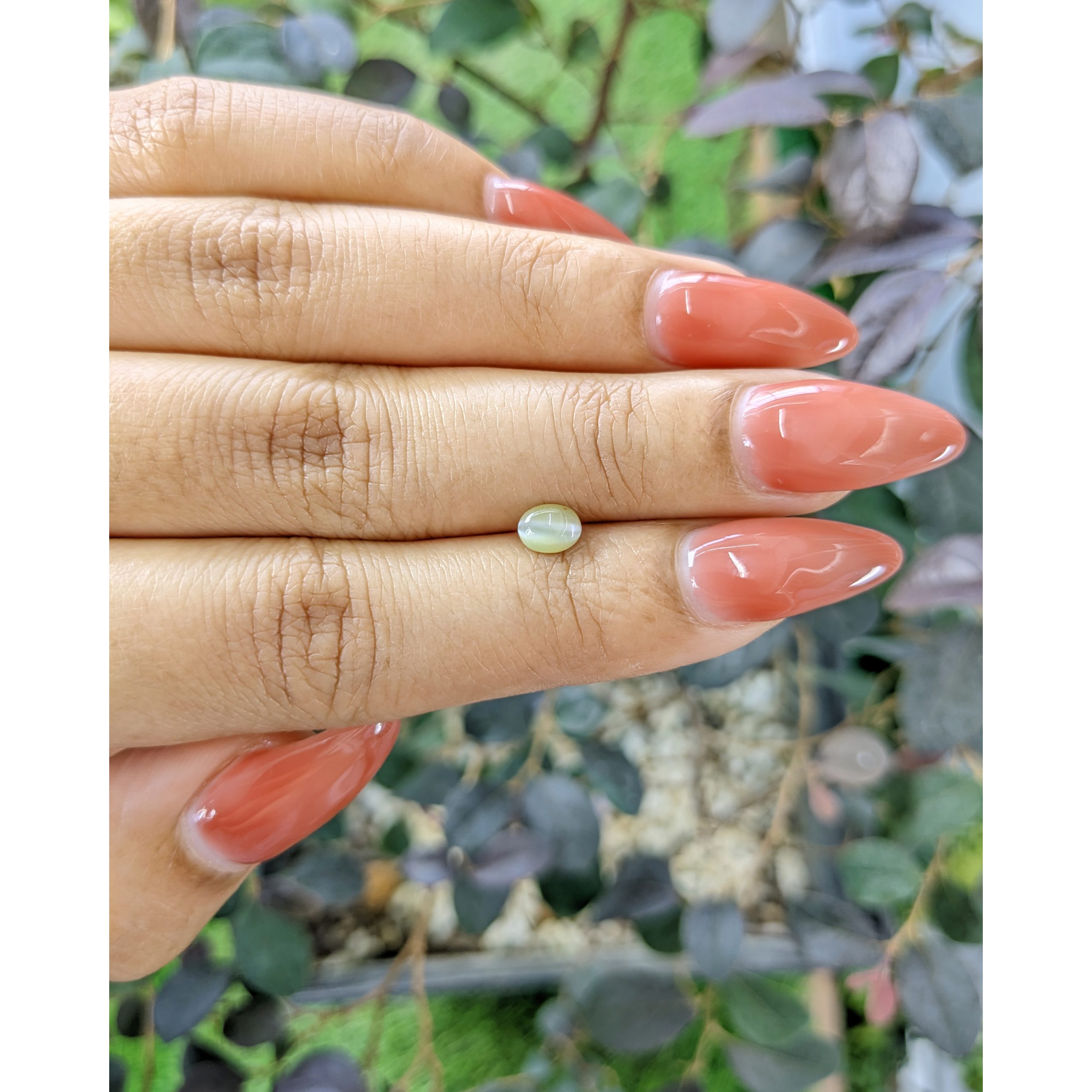 0.67 Ct. Brownish Green Cabochon Chrysoberyl - Image 2