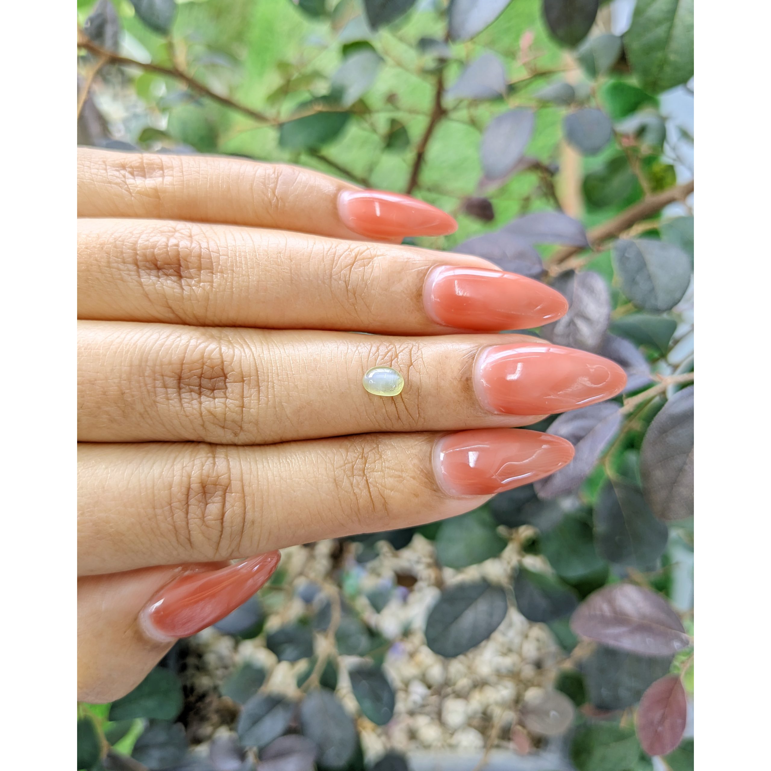 0.84 Ct. Greenish Yellow Cabochon Chrysoberyl - Image 2