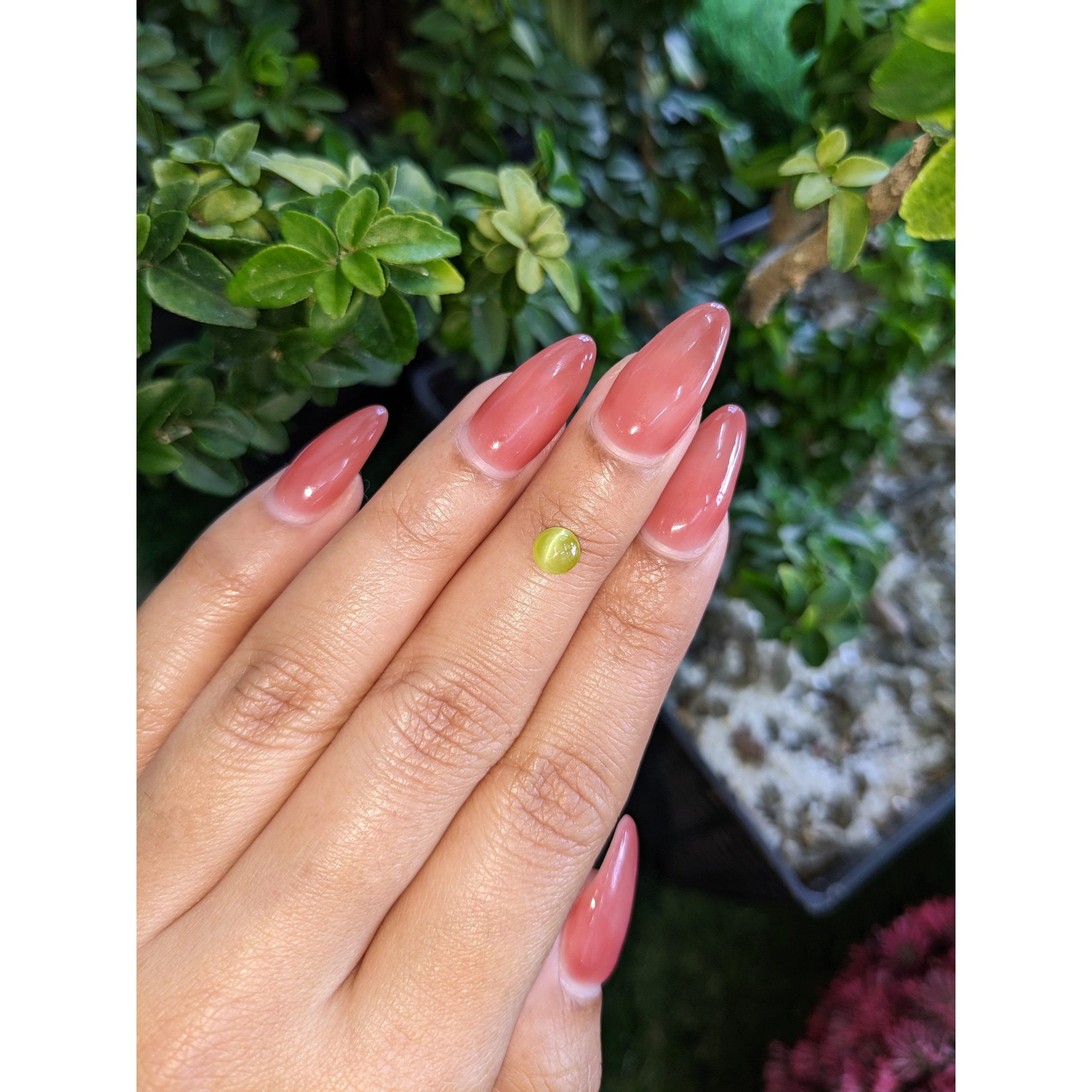 0.84 Ct. Yellowish Green Cabochon Chrysoberyl - Image 2