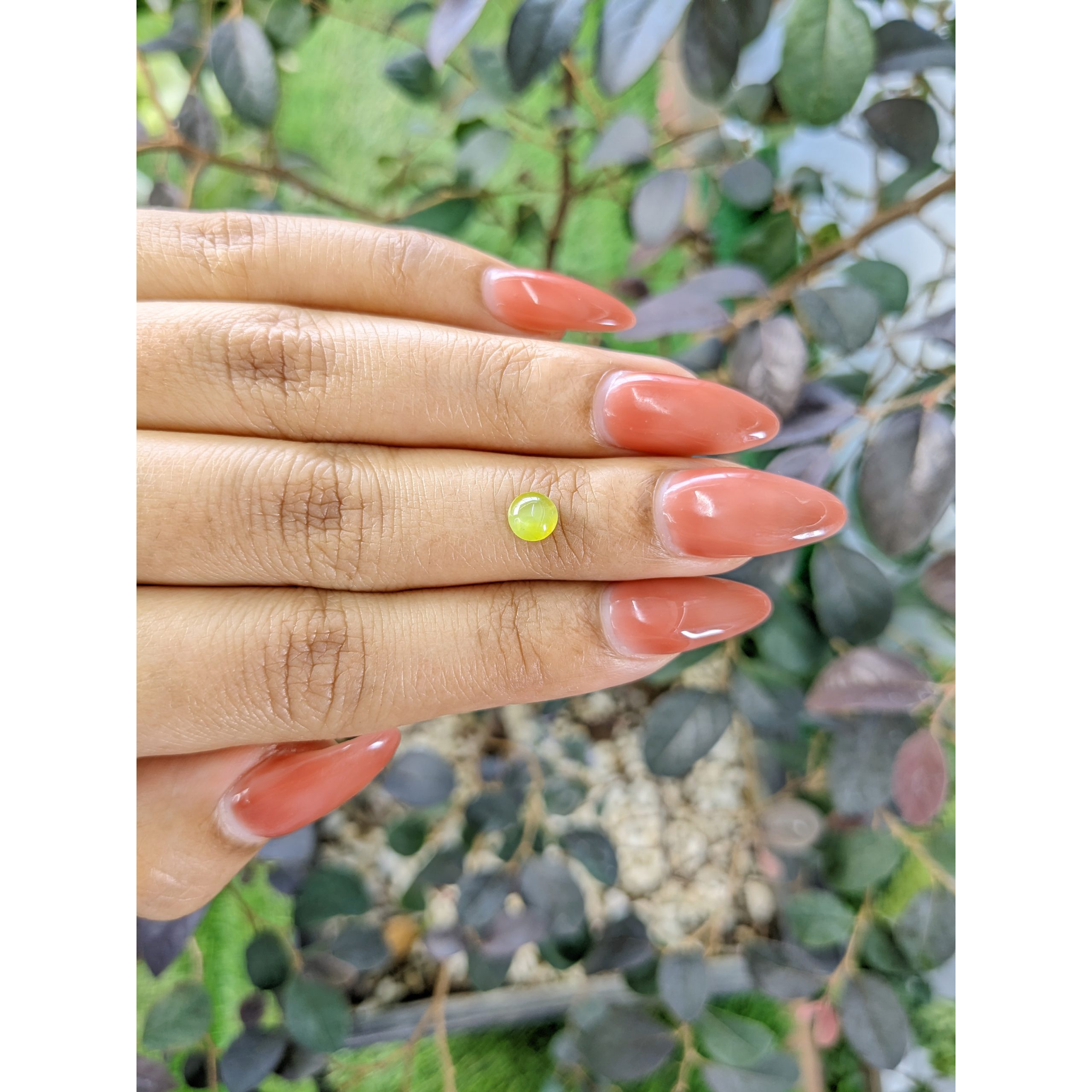 0.84 Ct. Yellowish Green Cabochon Chrysoberyl - Image 3