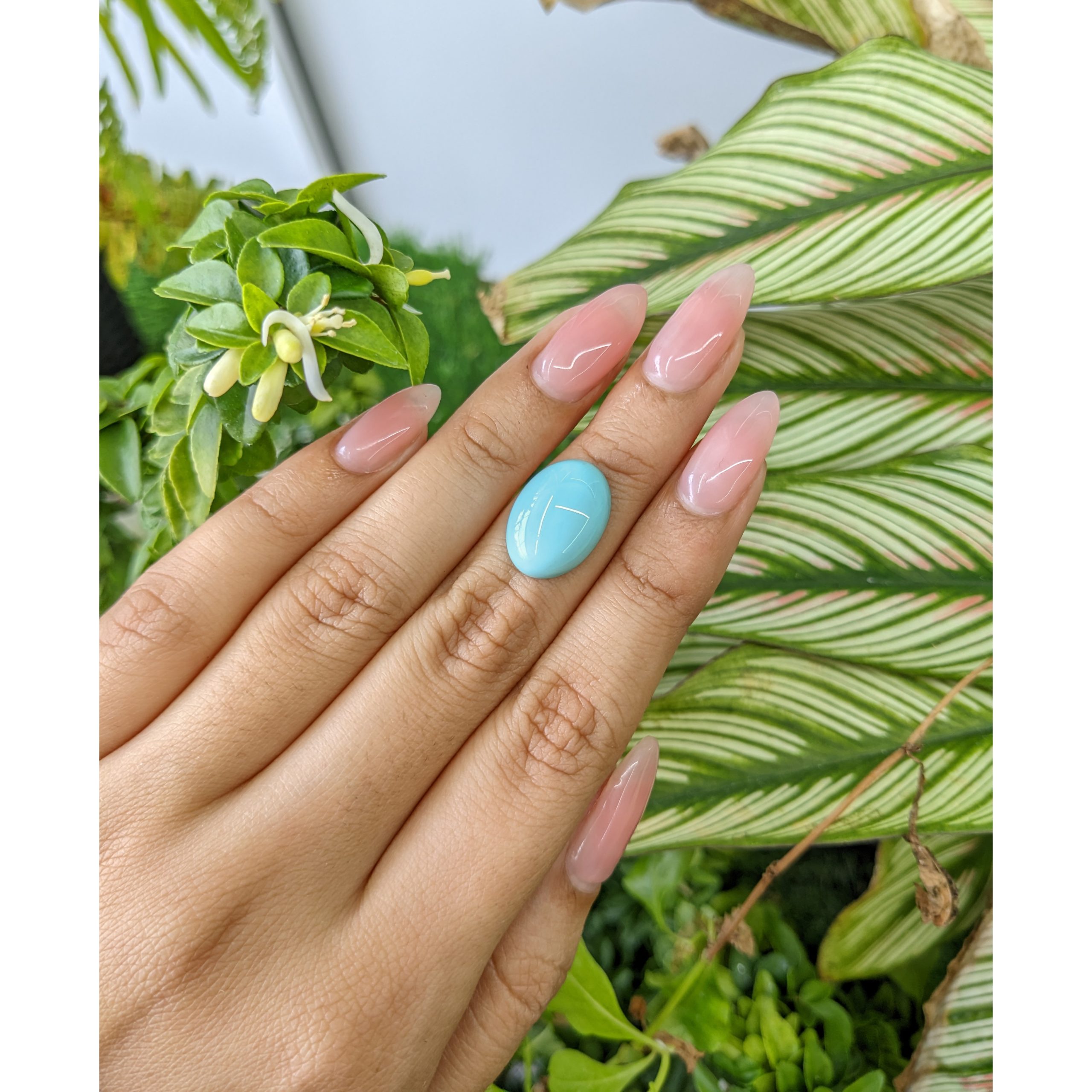 6.83 Ct. Greenish Blue Cabochon Turquoise - Image 3